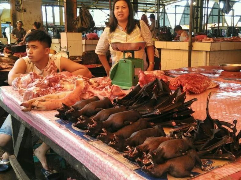 Pasar Tomohon